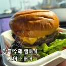 모아나 | 강릉 사천해변 햄버거 모아나 버거 육즙 가득 수제 버거 후기