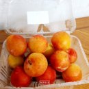 농업회사법인(주)이슬마루