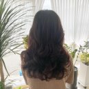 헤어살롱 다움 이미지