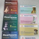 온누리강변프라자약국 이미지