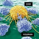 ㈜서울약업 이미지