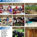 교동장독대마을 이미지