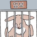 대박철판곱창순대볶음 이미지