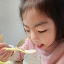 디디오랩 요거트메이커 사용 후기