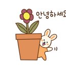 표샘국어