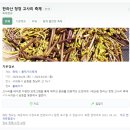 2023 한라산 청정 고사리축제 개최 소식입니다 이미지