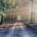 원어민 일본어회화 이미지