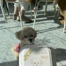 나나와메이 이미지