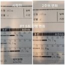 Fit5Gym 헬스케어 4 | 장유 헬스 30대 남성 다이어트 후기 직장인도 6kg 감량한 현실 이야기