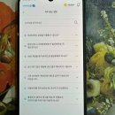 본테크 | 재택부업사이트 추천 뷰업으로 직접 해본 현실적인 앱테크 후기