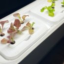 엘지농원 2 이미지