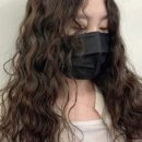 제이238 이미지