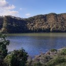 지본한의원 이미지