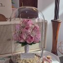 블루밍 플라워 앤 가든 이미지