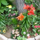 청학로학교길 이미지