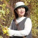 놀숲농원 이미지