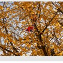 옥곡중학교 이미지