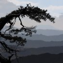 산산산