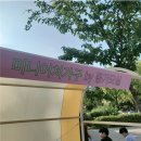 몽가모실 이미지