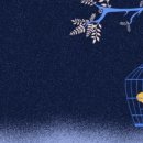 대운사지 이미지