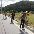 동천1통 이미지