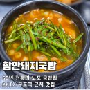 달인국밥 | 구포역 맞은편 1958년 노포 함안돼지국밥 출장 혼밥 돼지국밥 후기