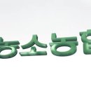 농소농협 종합자재센터 네이버블로그