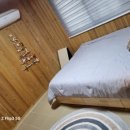 헬로우댕댕 이미지