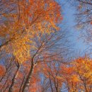 시간무늬 이미지