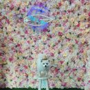 도그밀리 | 5만원 할인 쿠폰 받고 갈 수 있는 강원도 가성비 숙소 모음 - 멍엔서프,오핑펜션,도그밀리펜션,듀오펜션