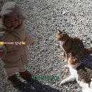 안녕,아이야 이미지