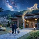 문경장례식장