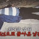 태완상사