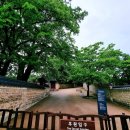 (유)아름건축 | 비 내리는 날, 우산 속에서 만난 창덕궁 후원의 비밀 – 유영환 작가의 렌즈로 담은 촉촉한 궁궐 산책과...