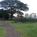 서귀진지 이미지