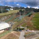 양떼푸드 | 5개월 아기랑 홍천 비발디파크 곤돌라 양떼목장 패키지 코스