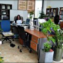 법무부동산중개사무소 이미지