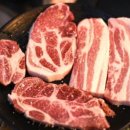 탐라도야지2 이미지