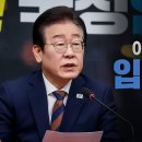 이재명 당대표, 서부지방법원 난동 사태 관련 입장 발표 이미지