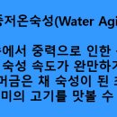 웰빙정육점