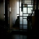 둥구나무한의원 이미지