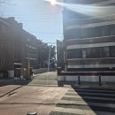 금성빌라 앞 이미지