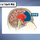 브레인학습발달클리닉