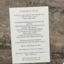 [전주] 여드름관리맛집 오로라숲 솔직후기