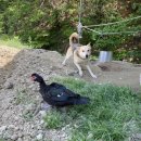 봉길농장 이미지