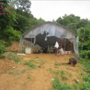 시흥목장 이미지