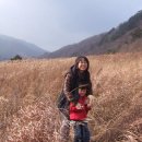 한뫼마루 네이버블로그