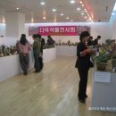 행복다육꽃농원