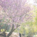 色이 있는 風景 이미지