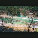 풋살경기장 앞 Daum카페